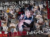 【VR】パパ活をドタキャンしたのに飲酒と加工自撮りでかまちょする病み期でぴえんな地雷系ギャルを、拉致監禁レ●プして社会の厳しさを理解らせてやった。
